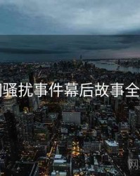 91网骚扰事件幕后故事全追踪