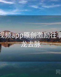 汤不热视频app原创激励往事回顾来龙去脉