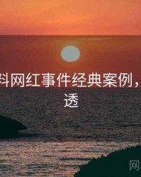 吃瓜爆料网红事件经典案例，带你看透