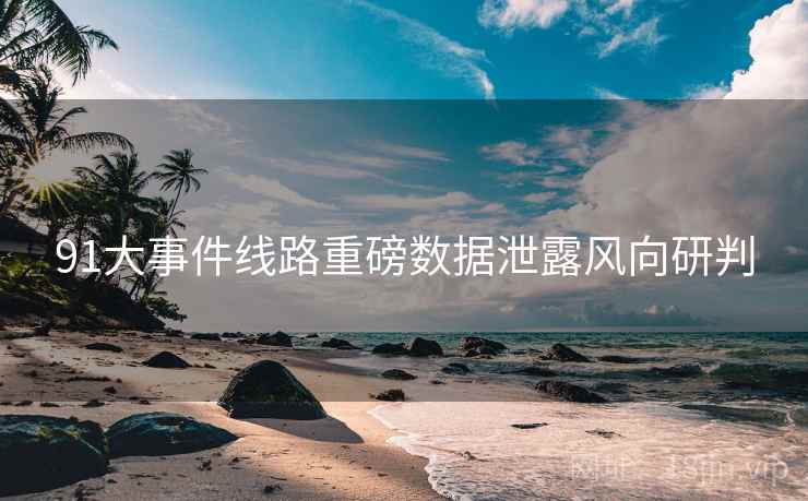 91大事件线路重磅数据泄露风向研判