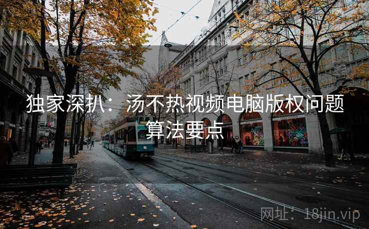 独家深扒：汤不热视频电脑版权问题算法要点