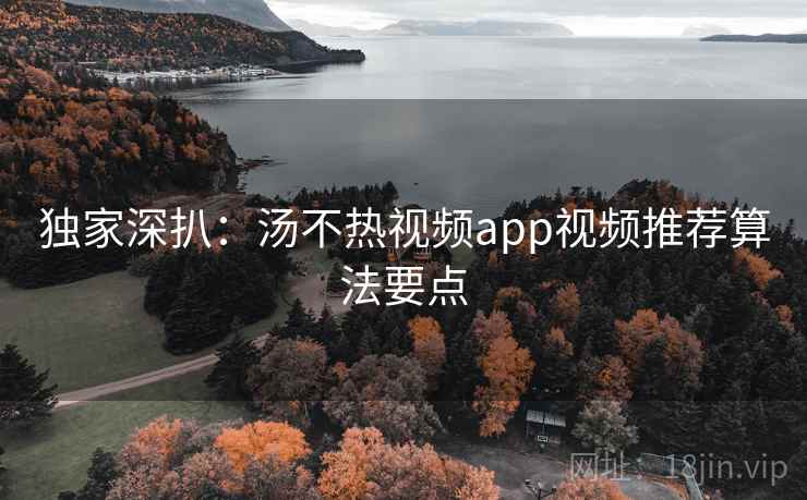 独家深扒：汤不热视频app视频推荐算法要点